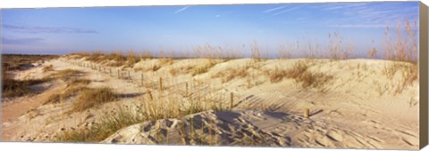 Framed Sand dunes on the beach, Anastasia State Recreation Area, St. Augustine, St. Johns County, Florida, USA Print