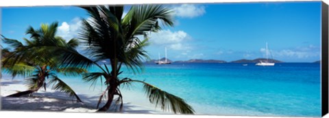 Framed Palm trees on the beach, Salomon Beach, Virgin Islands National Park, St. John, US Virgin Islands Print