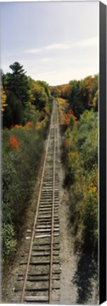 Framed Railroad tracks along Route 1A between Ellsworth and Bangor, Maine, USA Print