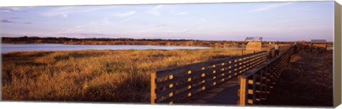 Framed Boardwalk in a state park, Myakka River State Park, Sarasota, Sarasota County, Florida, USA Print