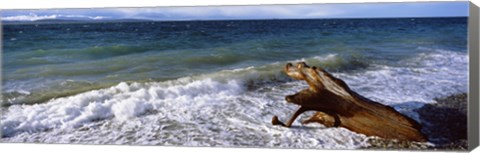 Framed Waves and driftwood on the beach, Whidbey Island, Island County, Washington State, USA Print
