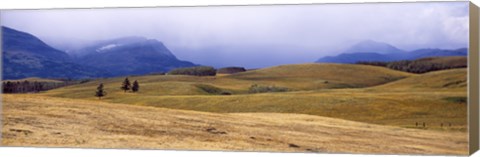 Framed Rolling landscape with mountains in the background, East Glacier Park, Glacier County, Montana, USA Print
