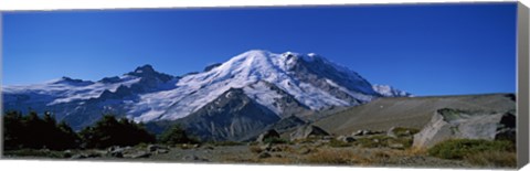 Framed Mountain covered with snow, Mt Rainier, Mt Rainier National Park, Pierce County, Washington State, USA Print