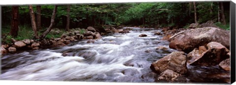 Framed River flowing through a forest, Moose River, Adirondack Mountains, New York State (horizontal) Print