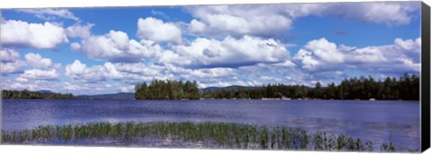 Framed Trees at the lakeside, Raquette Lake, Adirondack Mountains, New York State, USA Print