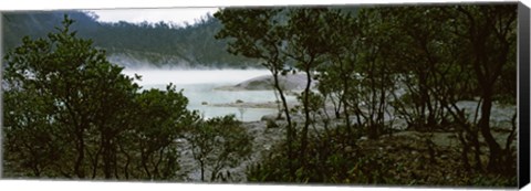 Framed Volcanic lake in a forest, Kawah Putih, West Java, Indonesia Print