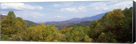 Framed View from River Road, Great Smoky Mountains National Park, North Carolina, Tennessee, USA Print