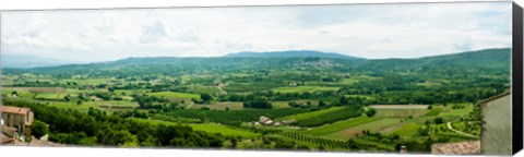 Framed High angle view of a field, Lacoste, Vaucluse, Provence-Alpes-Cote d&#39;Azur, France Print