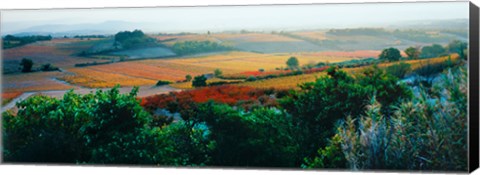 Framed Autumn Colors, Provence-Alpes-Cote d&#39;Azur, France Print