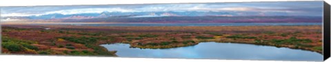 Framed Tundra landscape, Denali National Park, Alaska, USA Print