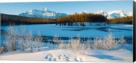 Framed Frozen river with mountain range in the background, Mt Fryatt, Athabaska River, Jasper National Park, Alberta, Canada Print