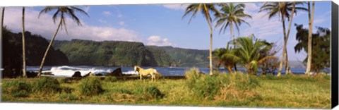 Framed Horse and palm trees on the coast, Hawaii, USA Print