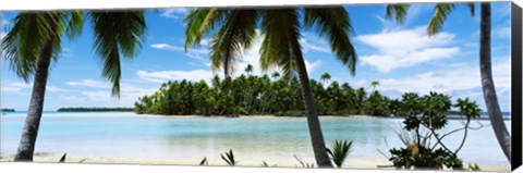 Framed Palm trees on the beach, Rangiroa Atoll, French Polynesia Print