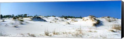 Framed Sand dunes in a desert, St. George Island State Park, Florida Panhandle, Florida, USA Print