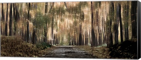 Framed Enchanted forest Print