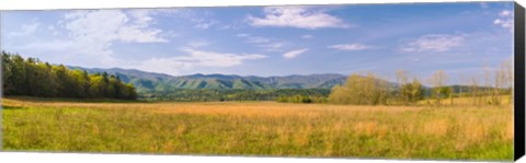 Framed Field with a mountain range in the background, Cades Cove, Great Smoky Mountains National Park, Blount County, Tennessee, USA Print