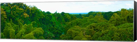 Framed Trees on the bay, Rempart and Mamelles peaks, Tamarin Bay, Mauritius island, Mauritius Print