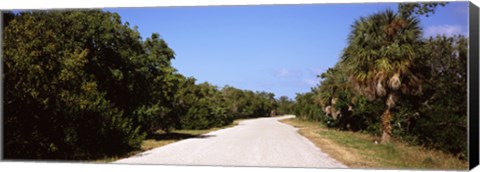 Framed Road passing through Ding Darling National Wildlife Refuge, Sanibel Island, Lee County, Florida, USA Print