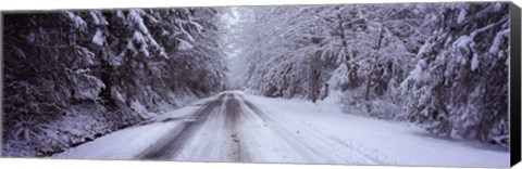 Framed Snow covered road passing through a forest, Fidalgo Island, Skagit County, Washington State Print