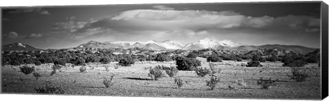 Framed High desert plains landscape with snowcapped Sangre de Cristo Mountains in the background, New Mexico (black and white) Print