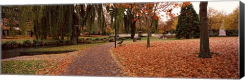Framed Park at banks of the Avon River, Christchurch, South Island, New Zealand Print