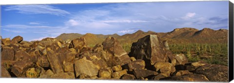 Framed Signal Hill with Petroglyphs, Saguaro National Park, Tucson, Arizona, USA Print