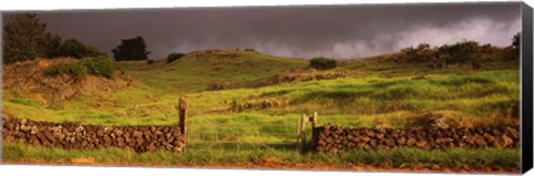 Framed Stone wall in a field, Kula, Maui, Hawaii, USA Print