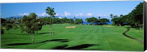 Framed Trees , Kaanapali Golf Course, Maui, Hawaii, USA Print