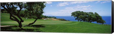 Framed Trees on a golf course, The Manele Golf course, Lanai City, Hawaii, USA Print