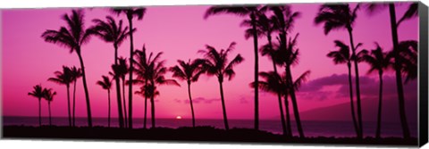 Framed Silhouette of palm trees at dusk, Hawaii, USA Print