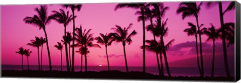 Framed Silhouette of palm trees at dusk, Hawaii, USA Print