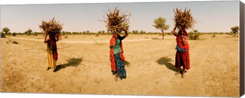 Framed Women carrying firewood on their heads, India Print