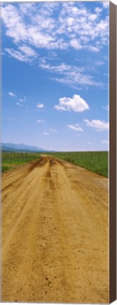 Framed Dirt road passing through San Rafael Valley, Arizona Print