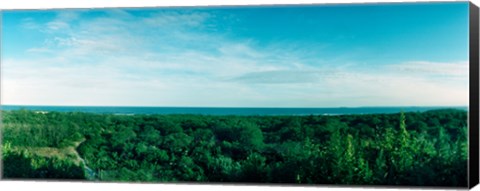 Framed High angle view of trees with Atlantic Ocean at Fort Tilden beach, Queens, New York City, New York State, USA Print