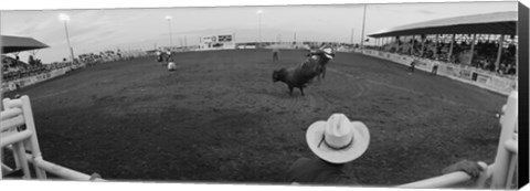 Framed Cowboy riding bull at rodeo arena, Pecos, Texas, USA Print