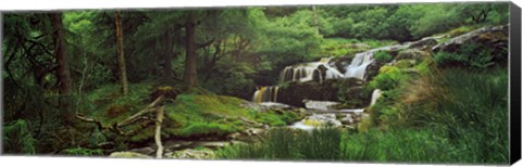 Framed Waterfall in a forest, Pistyll Rhaeadr, Powys, Wales Print