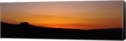 Framed Silhouette of a tree at dusk, Kirkcarrion, Middleton-In-Teesdale, County Durham, England Print