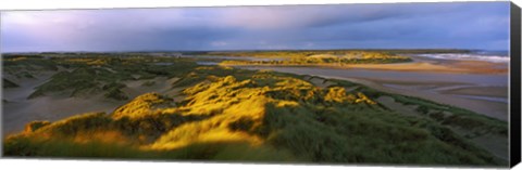 Framed Sand dunes on the beach, Newburgh, River Ythan, Aberdeenshire, Scotland Print