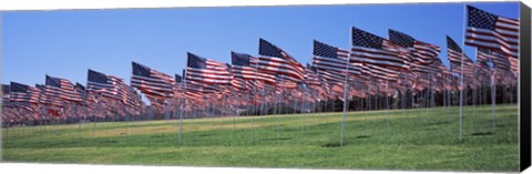 Framed American flags in memory of 9/11, Pepperdine University, Malibu, California Print