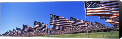 Framed American flags, Pepperdine University, Malibu, California Print