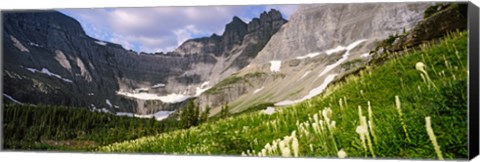 Framed Beargrass with mountains in the background, Montana Print