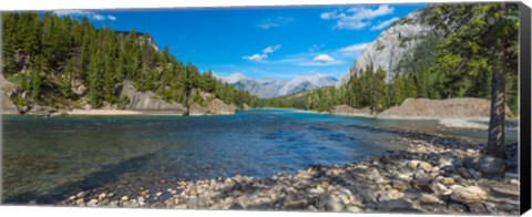 Framed River passing through a forest, Bow River, Banff National Park, Alberta, Canada Print