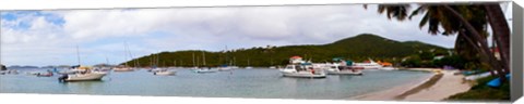 Framed Boats at harbor, Cruz Bay, St. John, US Virgin Islands Print