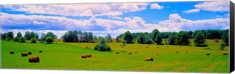 Framed Hay bales in a landscape, Michigan, USA Print