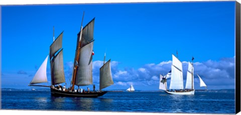 Framed Tall ship regatta featuring Cancalaise and Granvillaise, Baie De Douarnenez, Finistere, Brittany, France Print