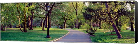 Framed Trees in a public park, Central Park, Manhattan, New York City, New York State, USA Print