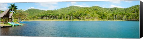 Framed Trees on a hill, Las Terrazas, Pinar Del Rio Province, Cuba Print