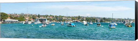 Framed Boats docked at Watsons Bay, Sydney, New South Wales, Australia Print