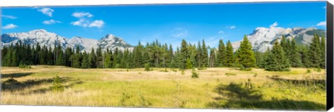 Framed Trees with mountain range in the background, Banff National Park, Alberta, Canada Print