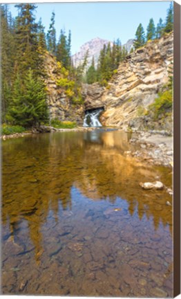 Framed Flowing stream in a forest, Banff National Park, Alberta, Canada Print